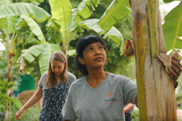 Join Our Team - Phan Thong